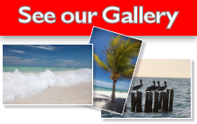 Cheap Beachfront lots Gallery