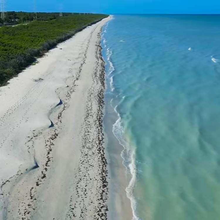 Campeche Beachside Living