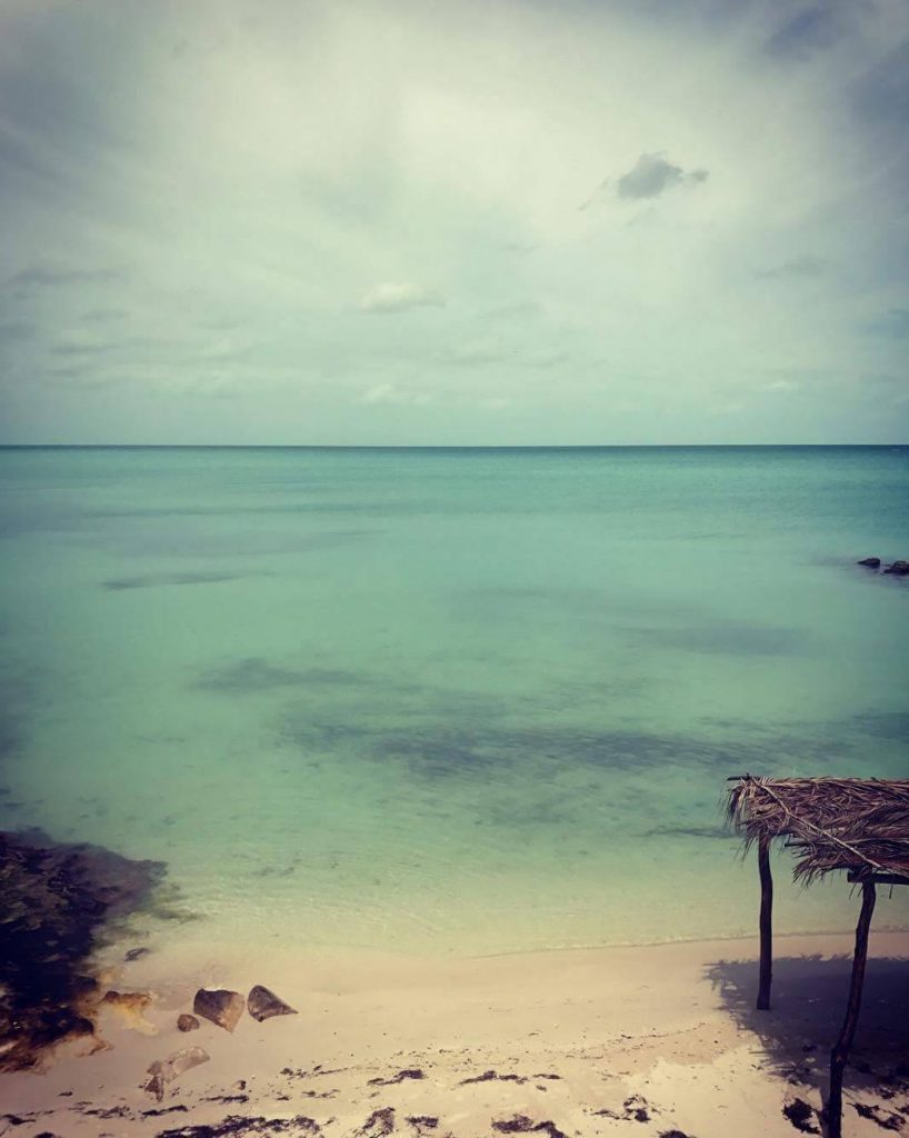 Riviera Maya Views