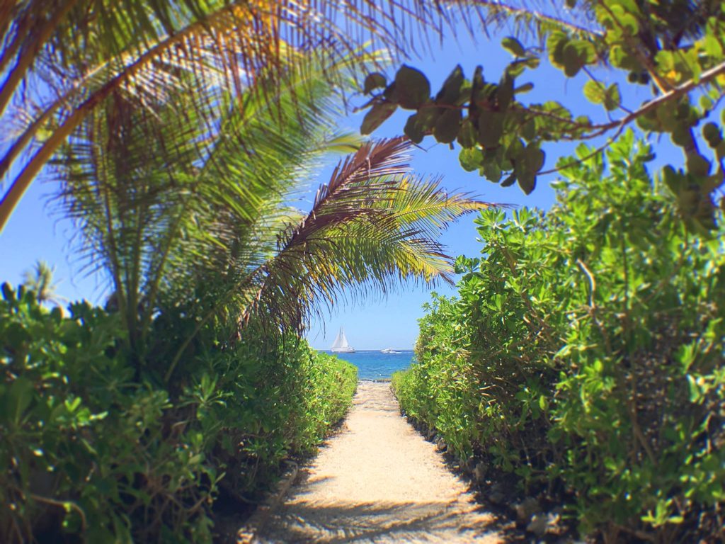 Pictures of the Caribbean