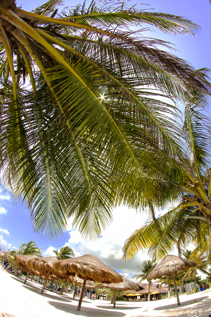 Pictures of the Caribbean