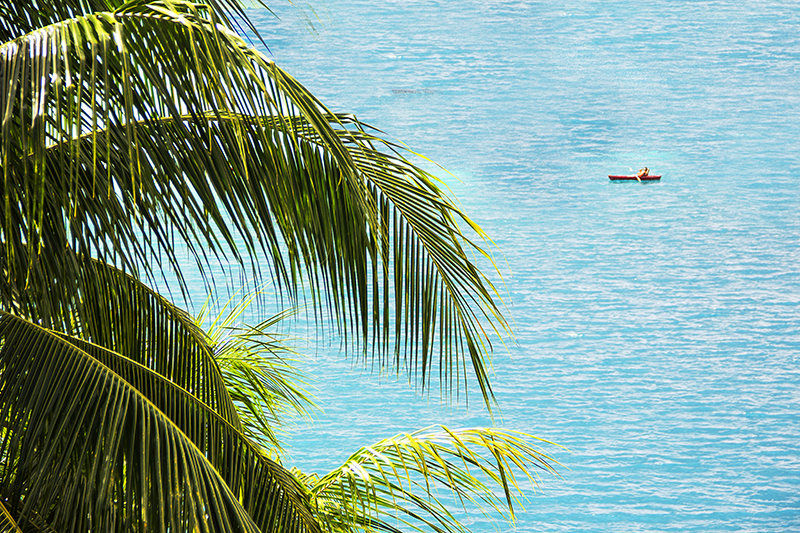 Pictures of the Caribbean