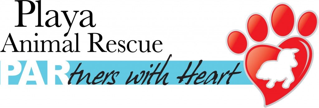 Animal Rescue in Playa del Carmen