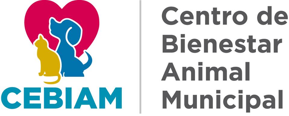 Animal Rescue in Playa del Carmen