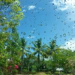 Playa del Carmen Activities When it Rains