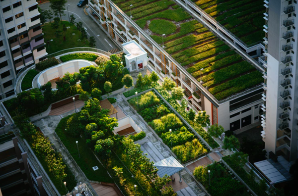 Green and Sustainable Trends