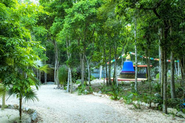 Riviera Maya Property