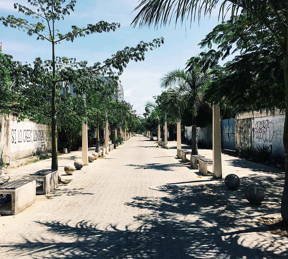 Playa del Carmen is a trendy beach town in the Yucatan Peninsula