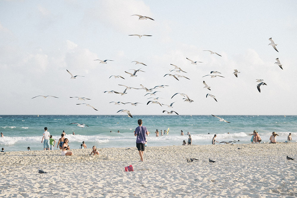 Playa del Carmen has one of the most popular expat communities in the Riviera Maya