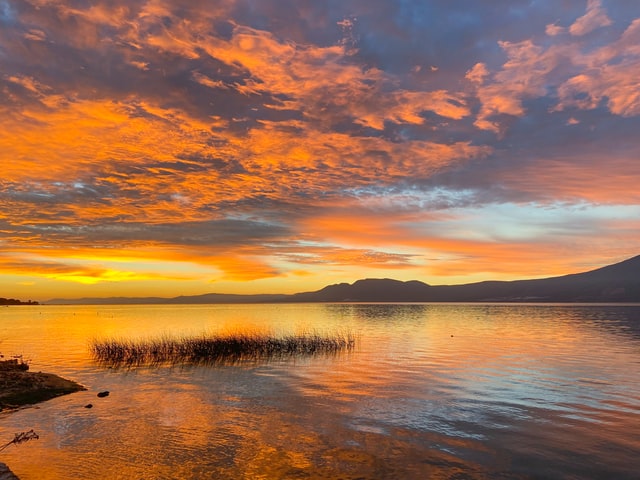  Property in Lake Chapala