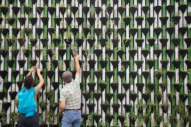 Vertical Gardening