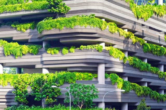 Vertical Gardening