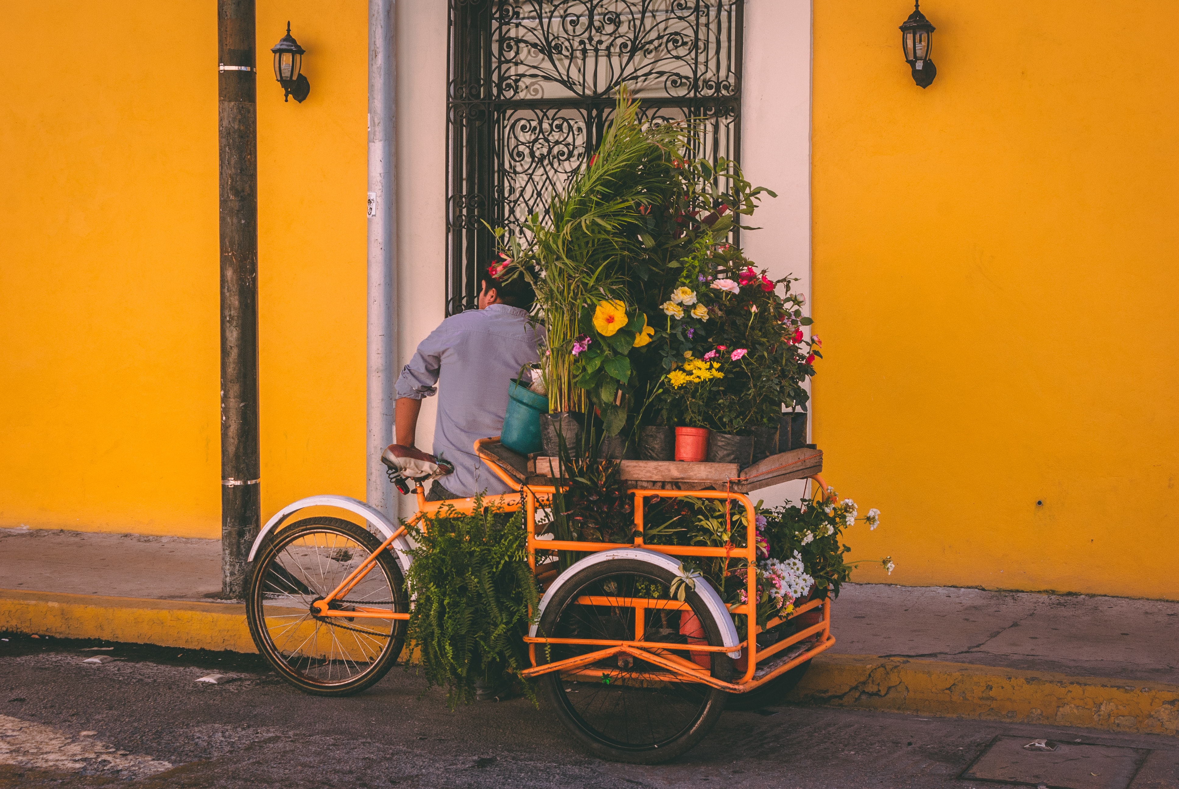 Merida Real Estate