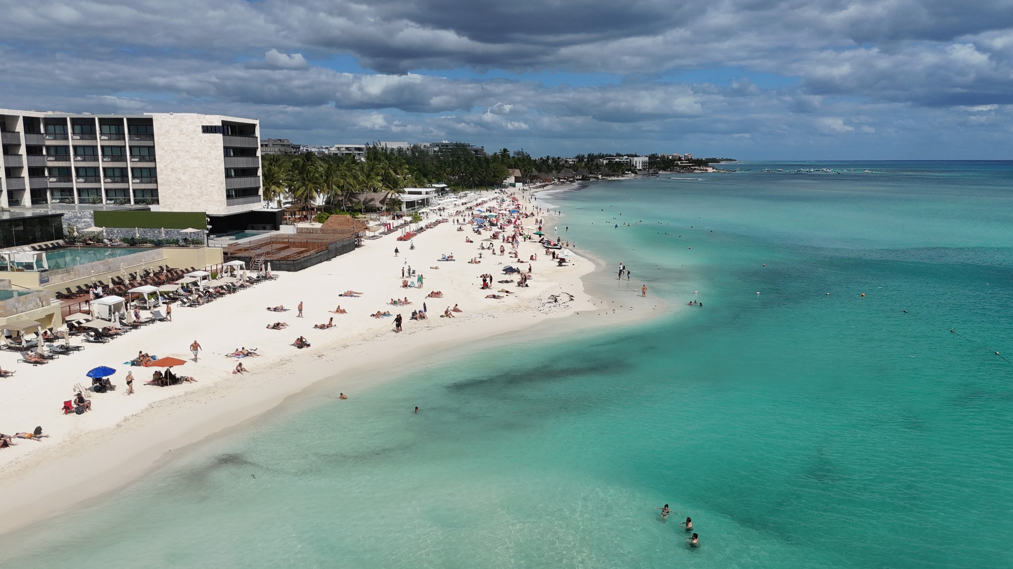 Sargassum Update in Riviera Maya Jan-Feb 2026