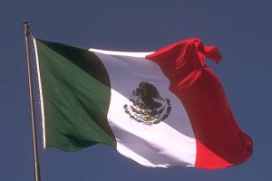Mexico Flag